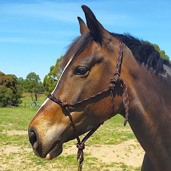 Nungar Knots Premium Rope Halter The Horse Rug Whisperer