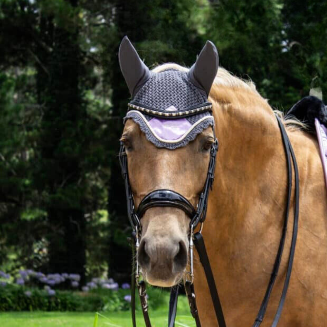 palamino horse with grey and purple bonnet