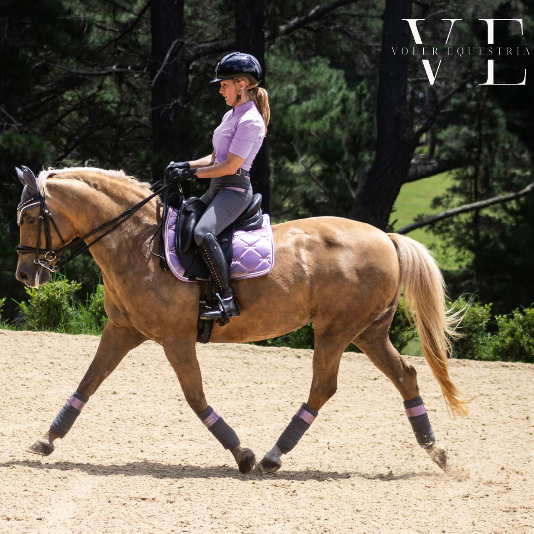 Voler Short Sleeve Riding Top - Dusty Violet