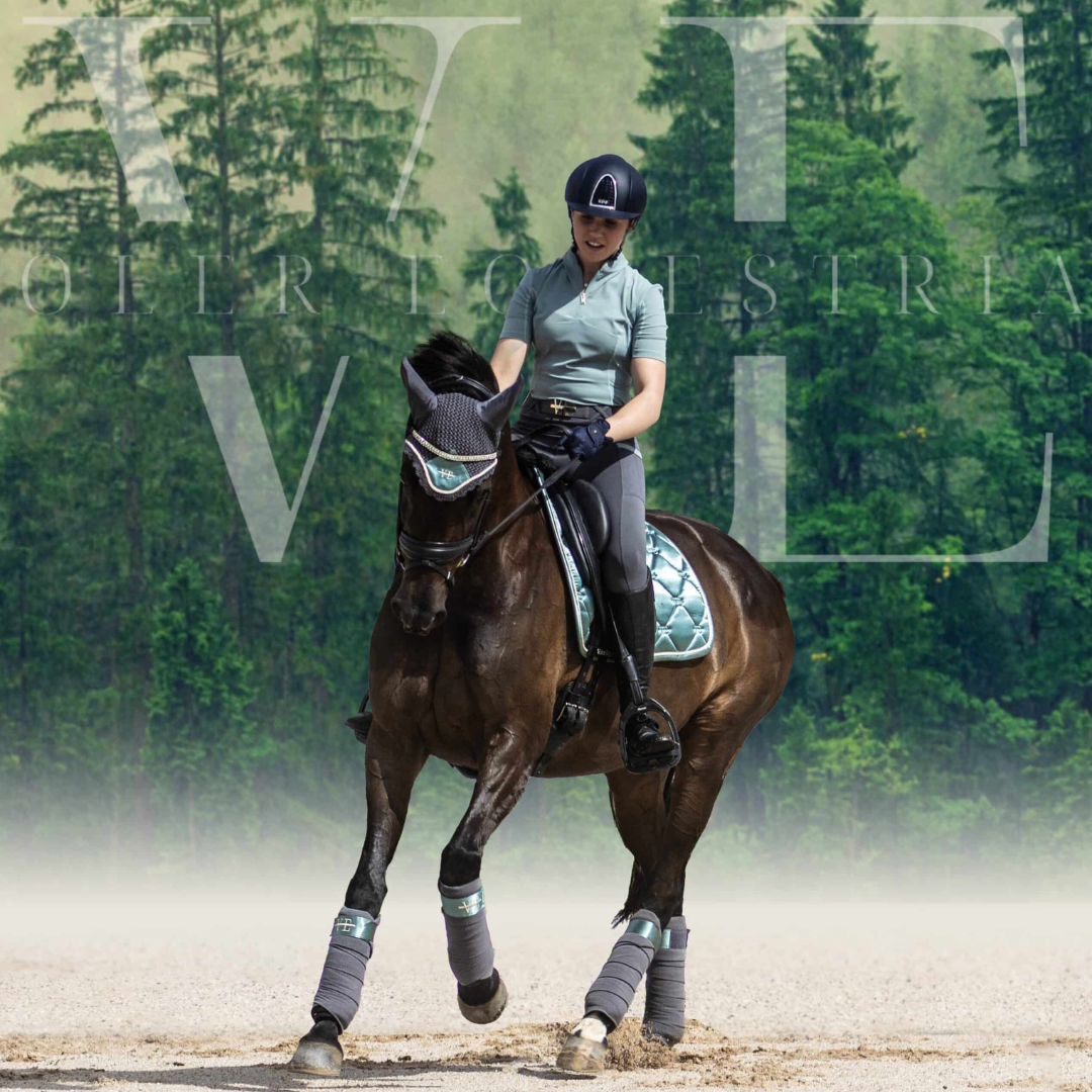 eucalyptus green shimmer saddle pad on black horse