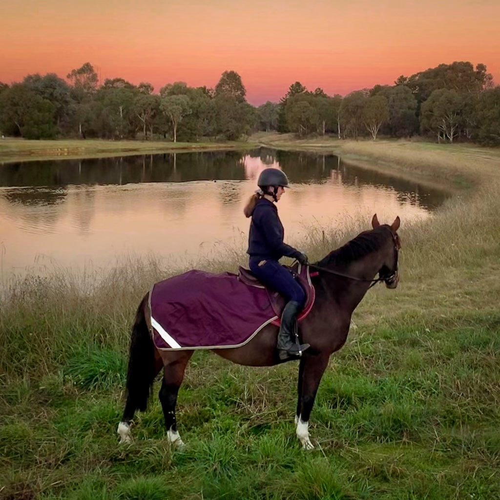 Pomegranate riding rug with reflective tape on bay horse