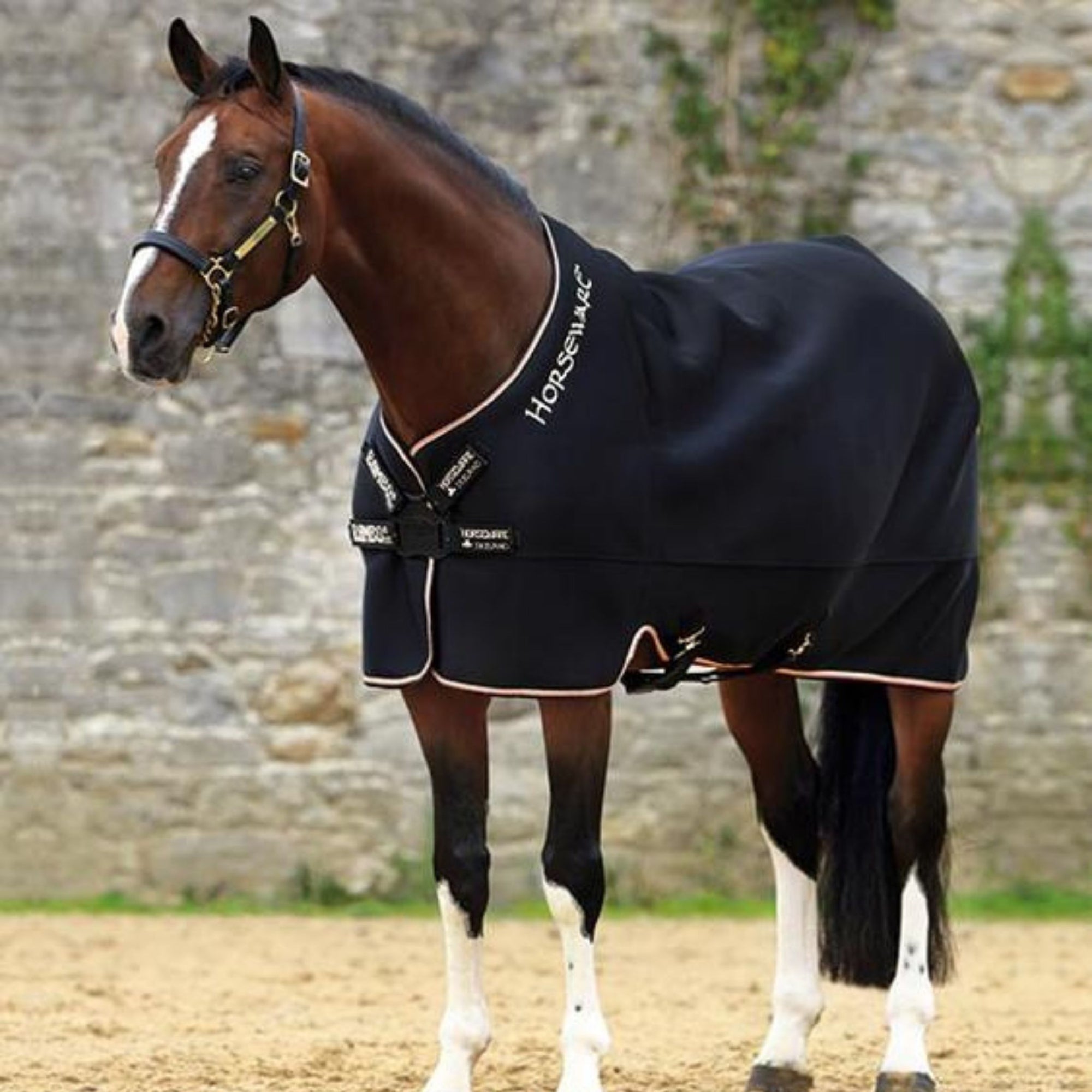 Black air max cooler rug with cream and red binding and Horseware logo on the neck line.