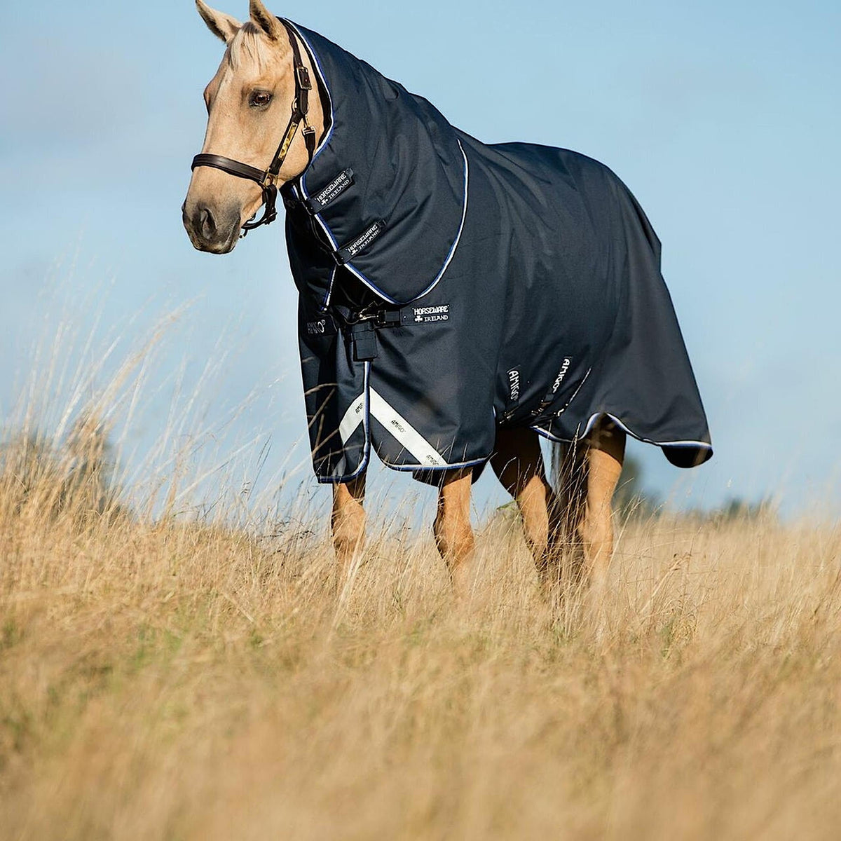 Navy rainsheet on palomino horse.