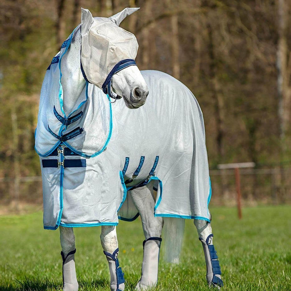 Summer mesh horse rug, silver with blue trim.