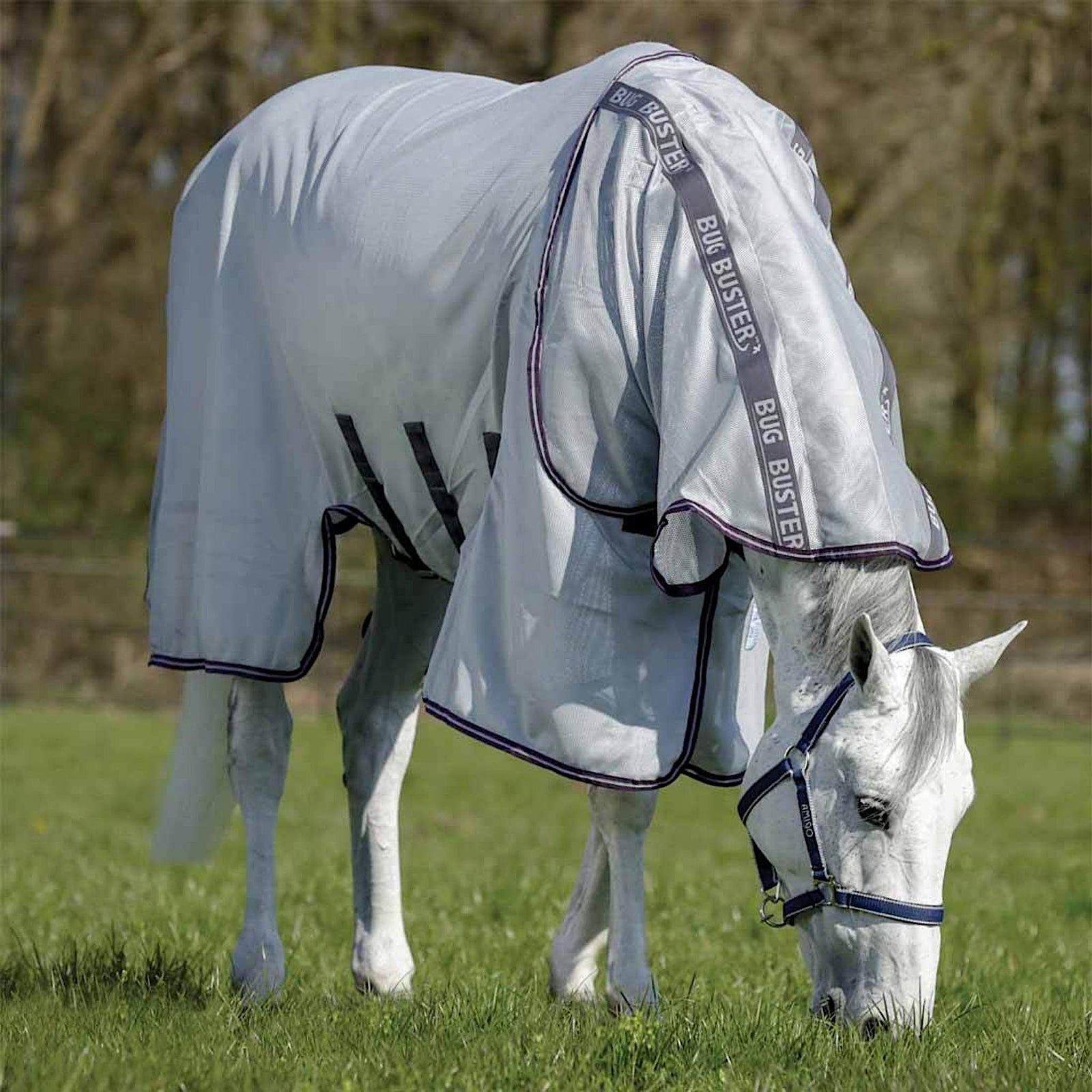 Summer mesh horse rug, silver with blue trim.