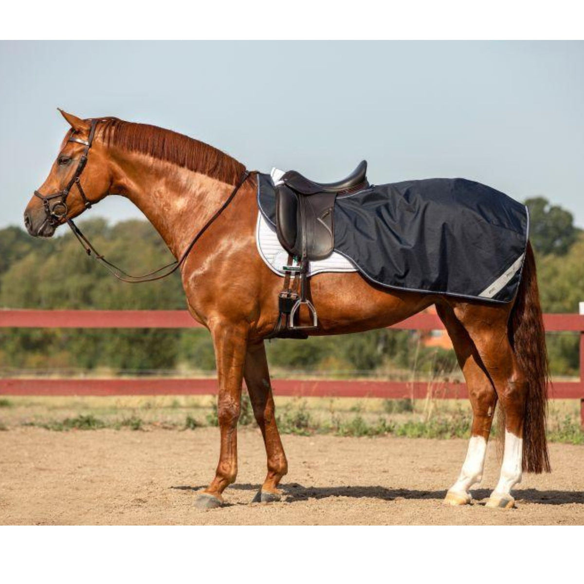 Navy ridding rug with reflective tape on chestnut horse.