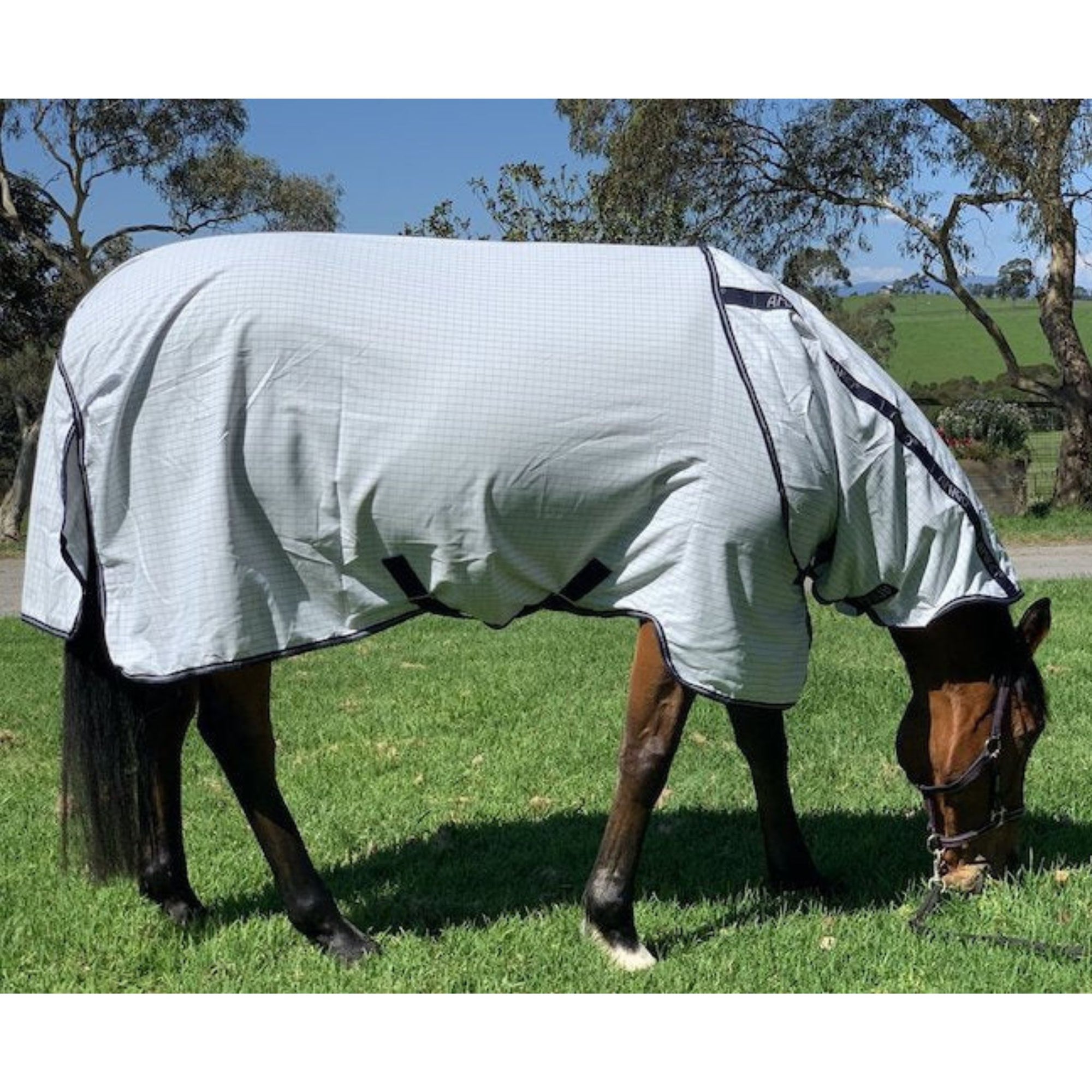 White cotton with navy trim on bay horse.