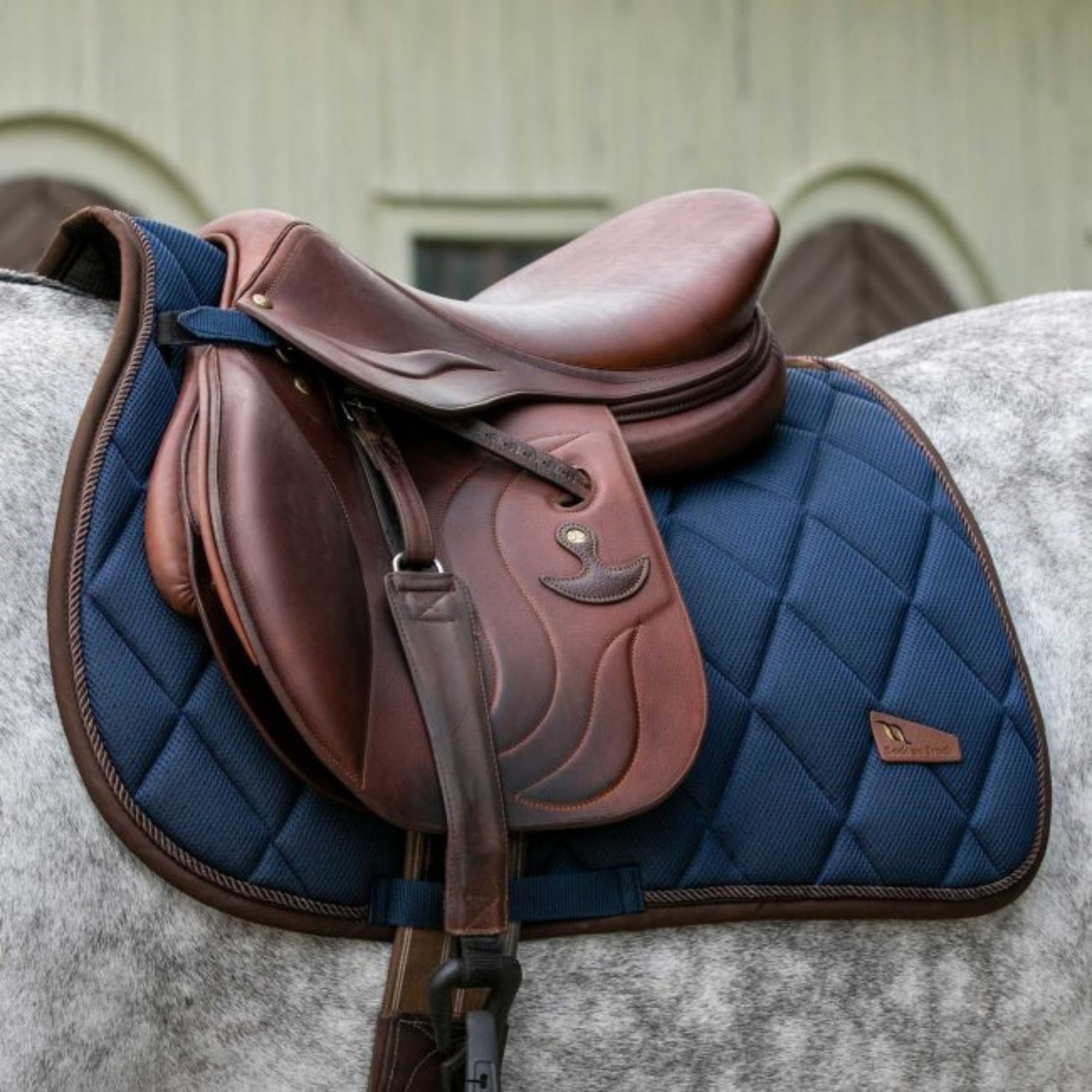 Navy saddle pad with brown accents, with saddle. 