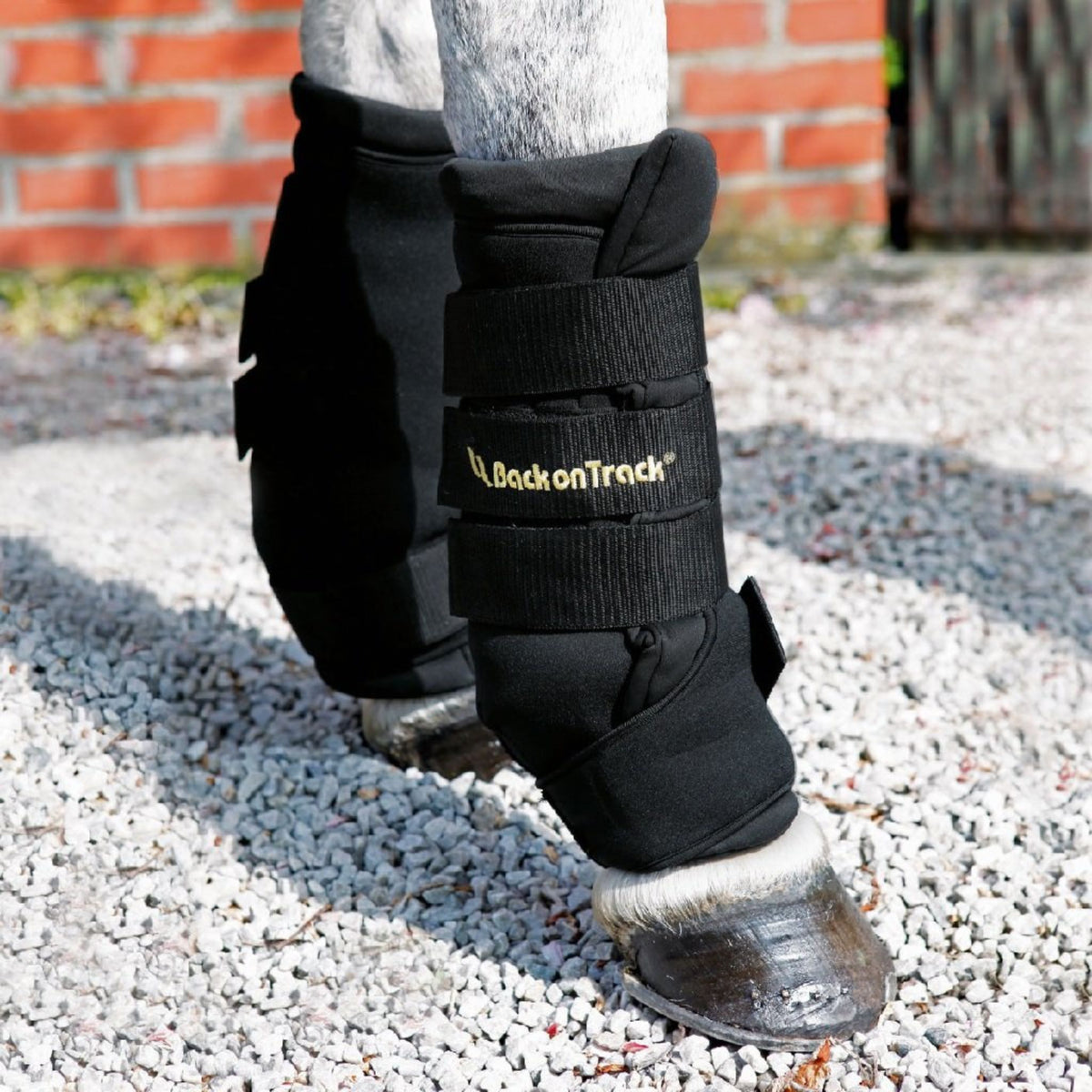 Black padded quick wraps velcroed onto a horses legs  