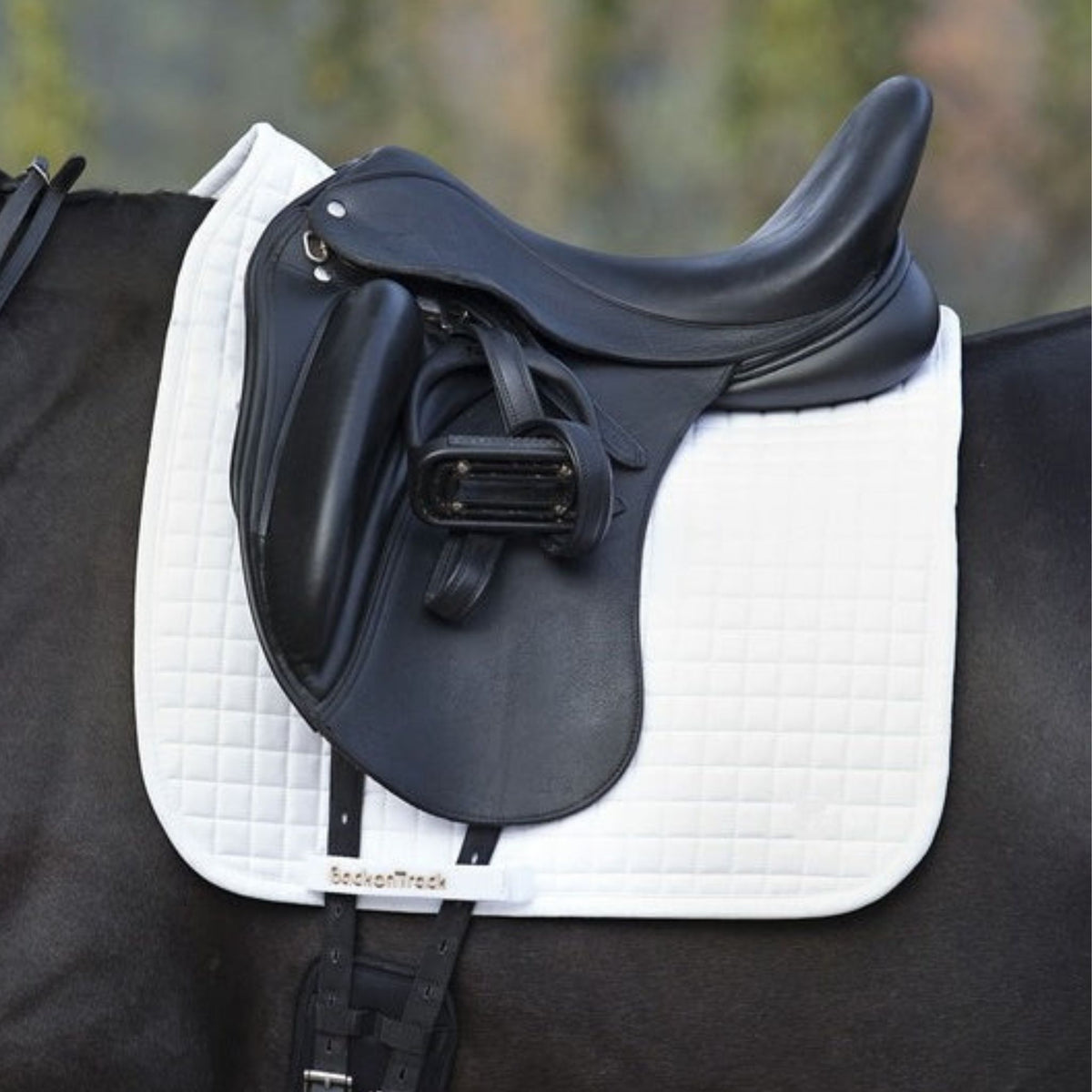 White dressage saddle pad with velcro tabs.