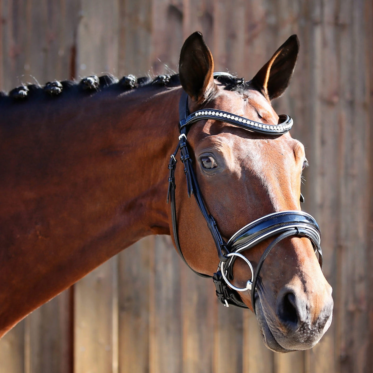 Countess Bridle