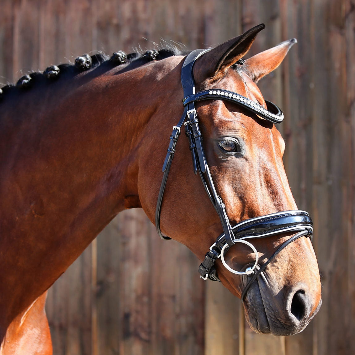 Belle-Equestrian-Countess-Snaffle-Bridle-The-Horse-Rug-Whisperer