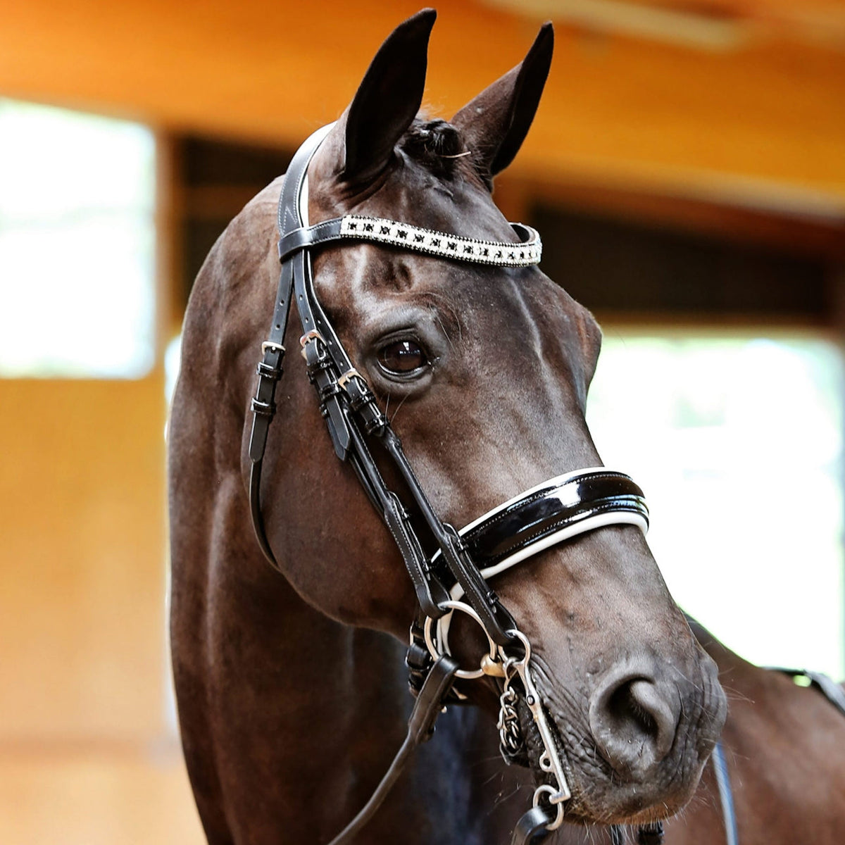 Black leather bridle with a patient leather noseband and white padding 