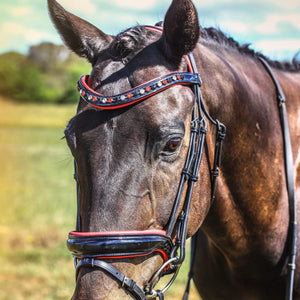 Duke Bridle