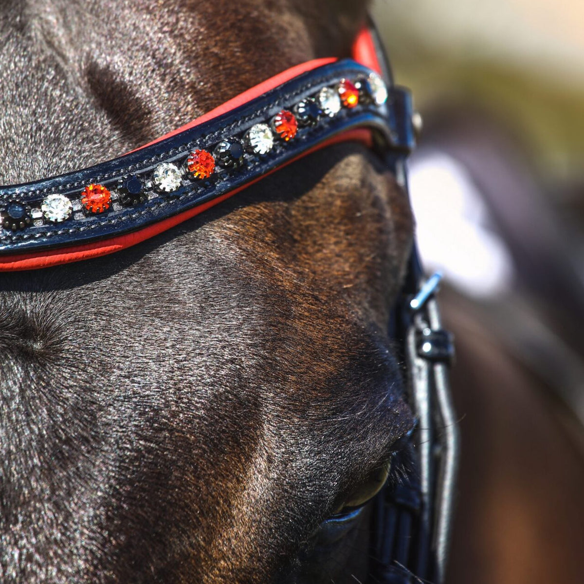 Closeup of browband with black, clear and red crystals.