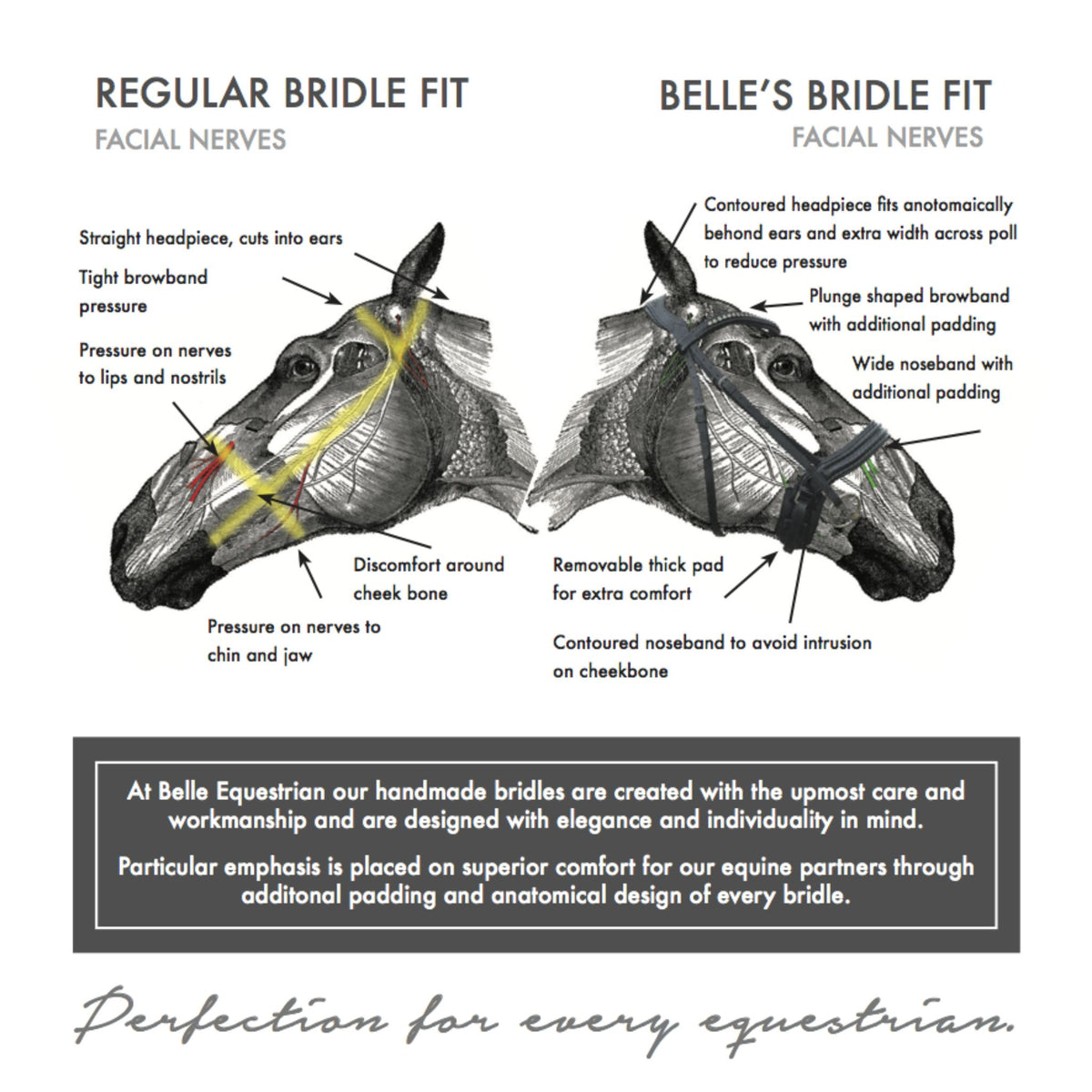 Diagram of regular bridle on horse compared to a belle bridle.