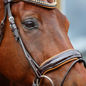 Noble Bridle