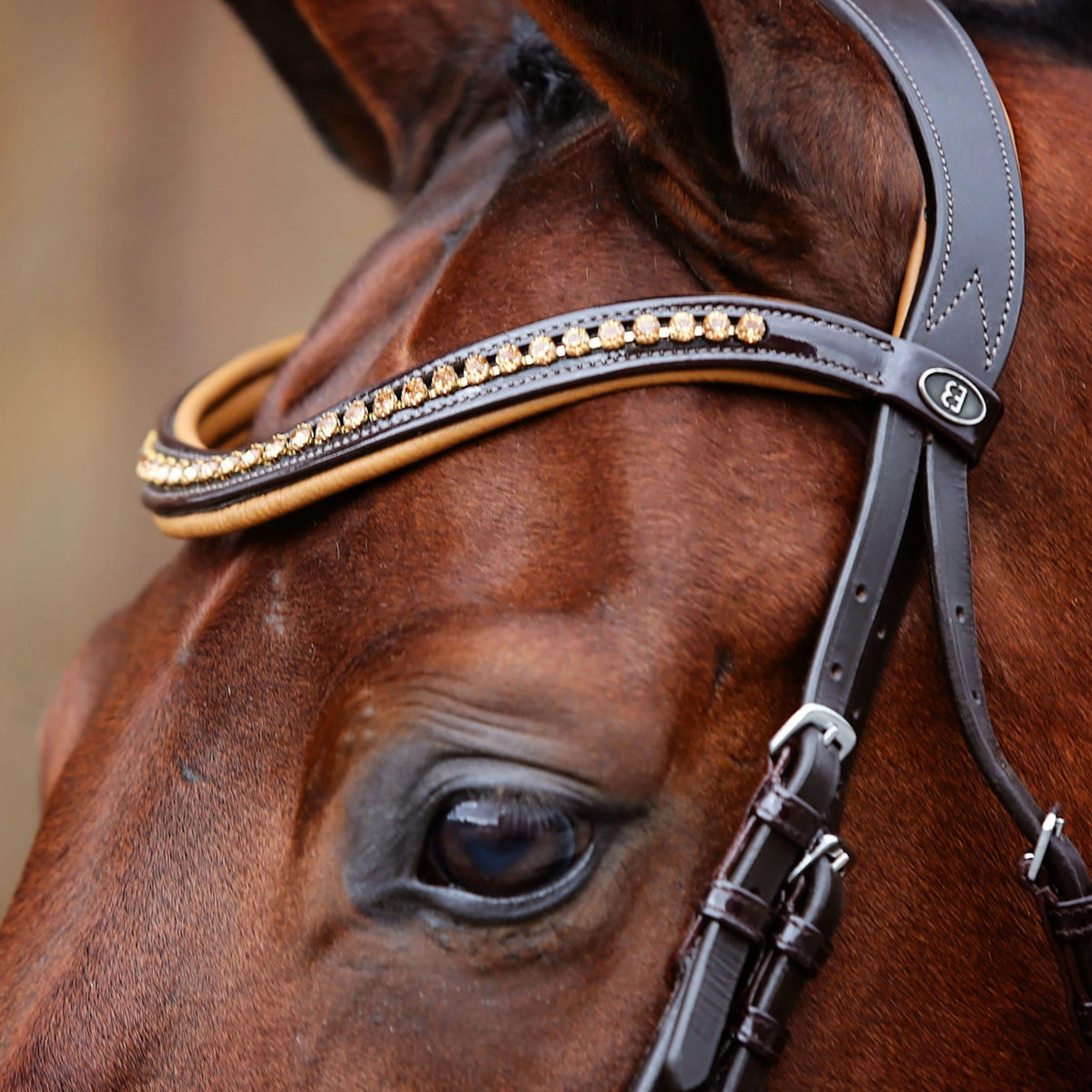 Orange crystal encrusted browband with orange padding.