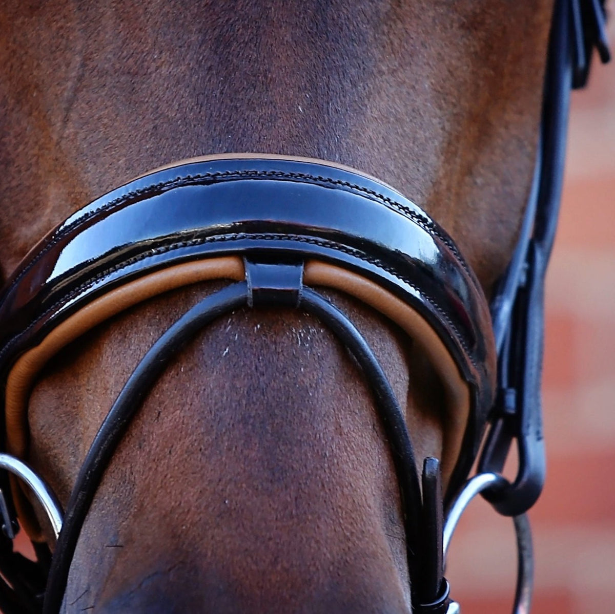 Black patent nose band with orange padding.