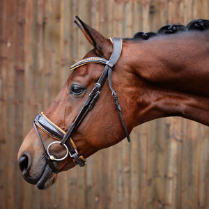 Noble Bridle