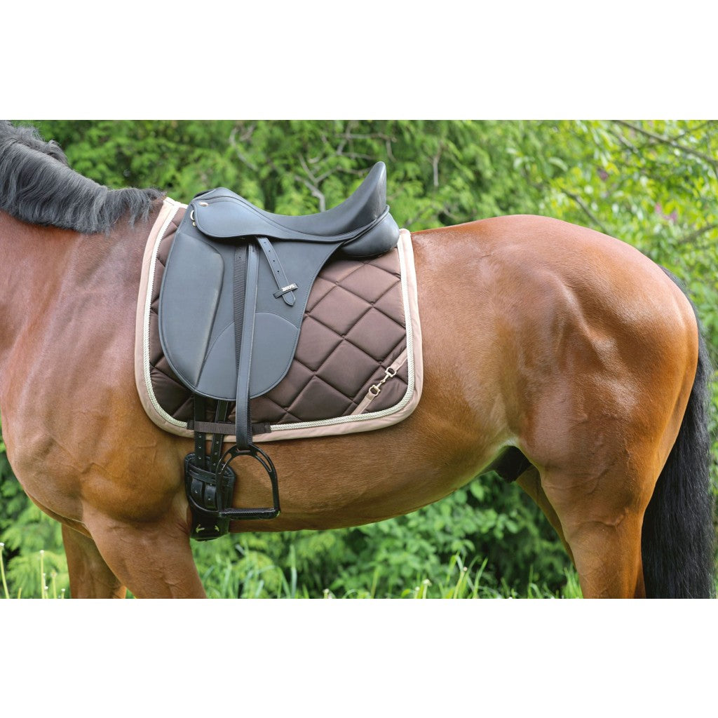 Dark brown saddle pad with beige details on bay horse.