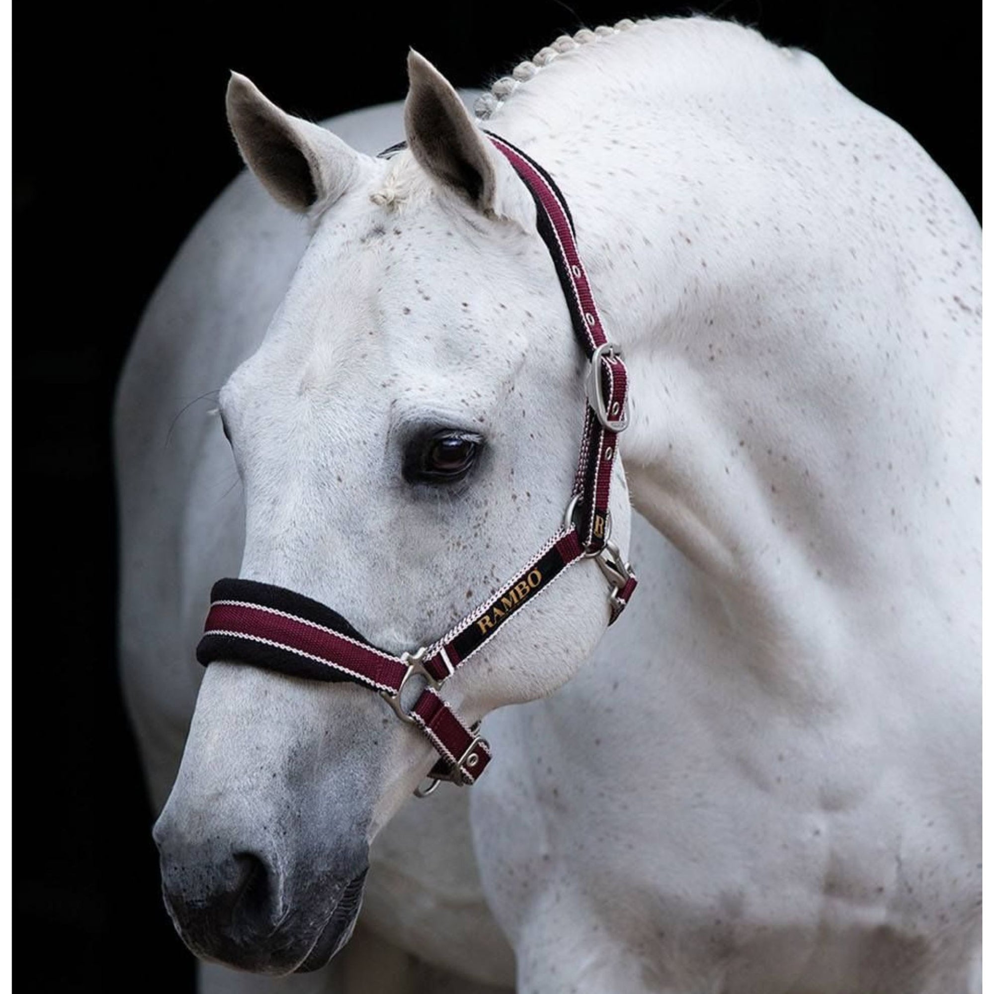 Deep cherry red padded halter, with black fleece and cream lining.