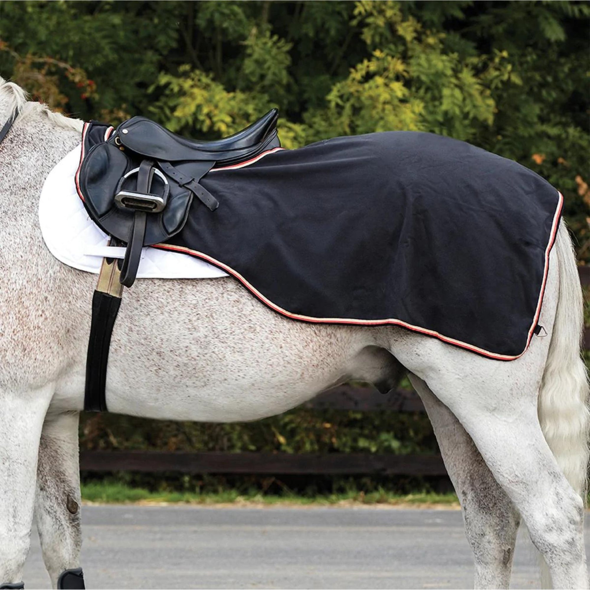 Navy riding rug with beige and white binding on bay horse