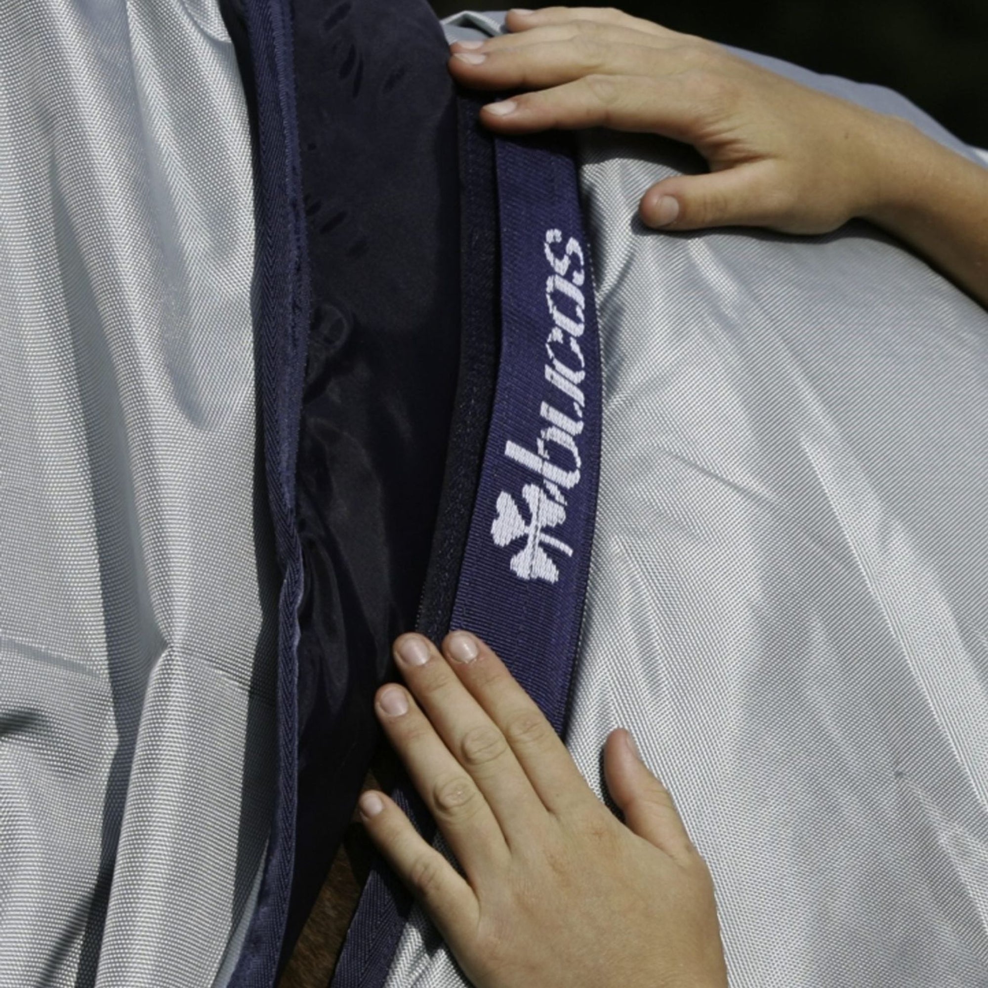 Horse wearing a silver winter turnout rug with navy details.