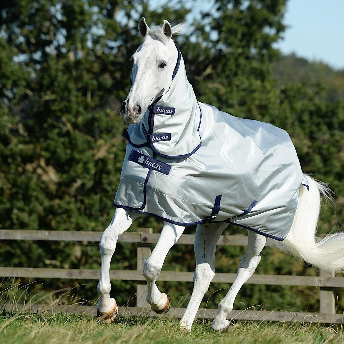 Silver combo rug with blue velcro straps.