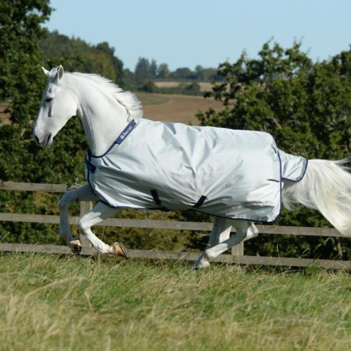 Grey horse wearing silver Bucas rug, cantering along  fence line.