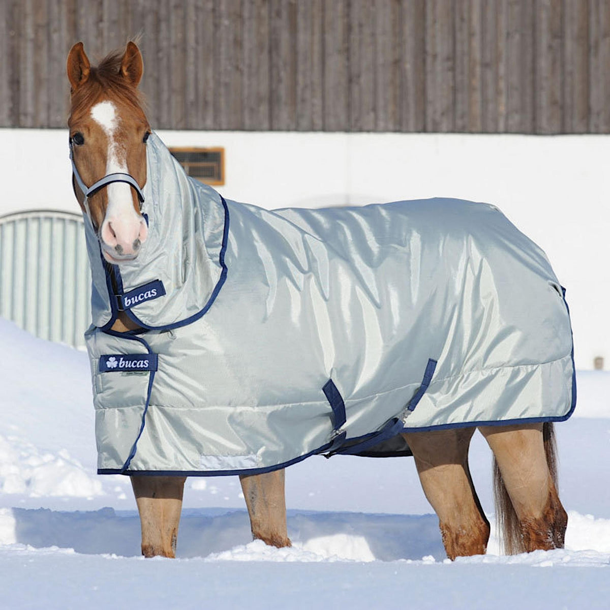 Horse wearing a silver winter turnout rug with navy details.