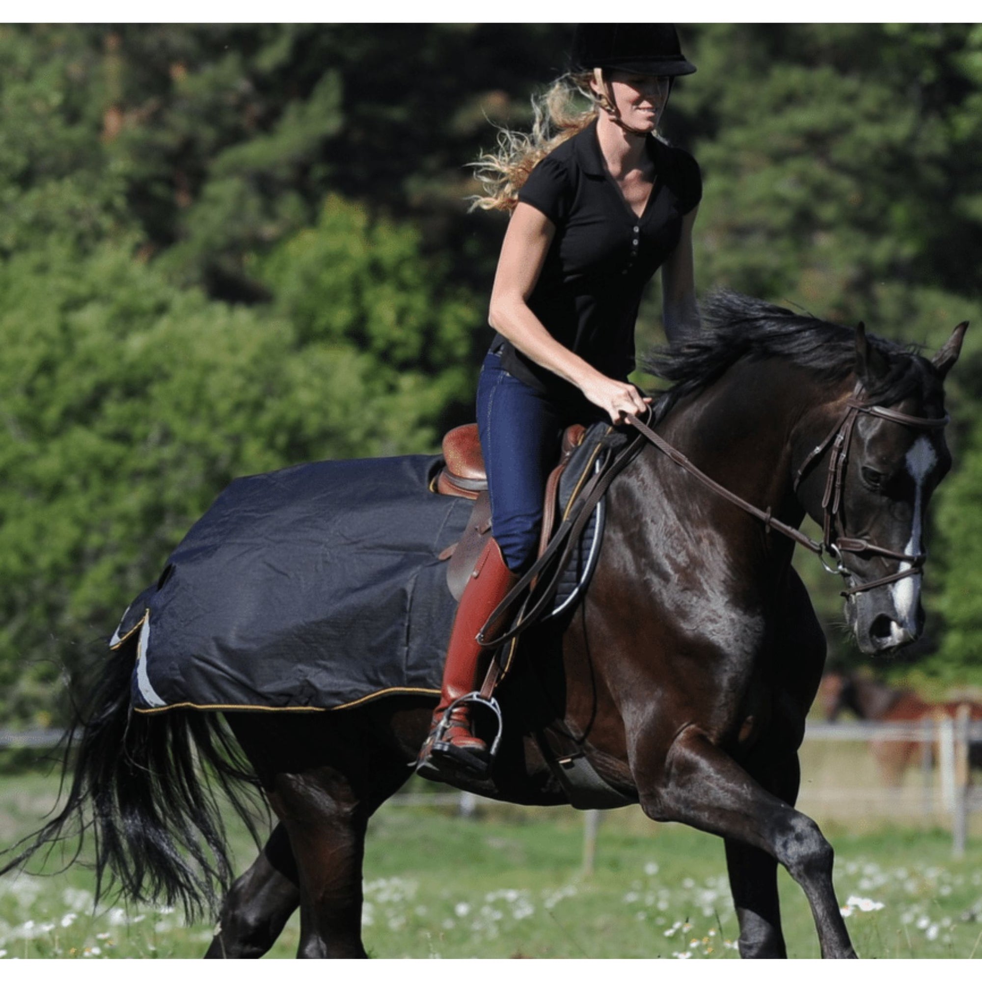 Horse wearing black riding rug with reflective silver stripes and yellow trim.