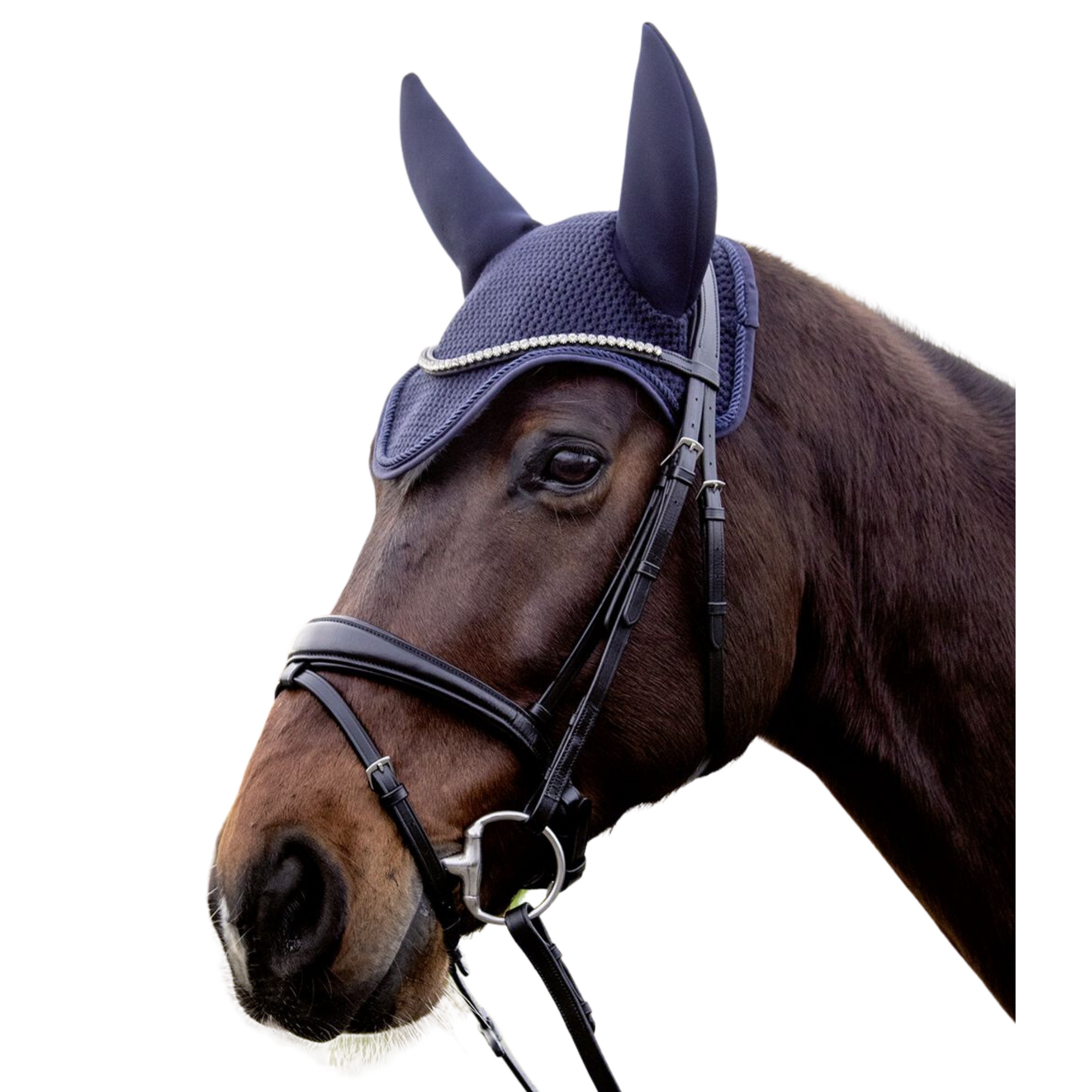Horse wearing navy noise cancelling ear bonnet.