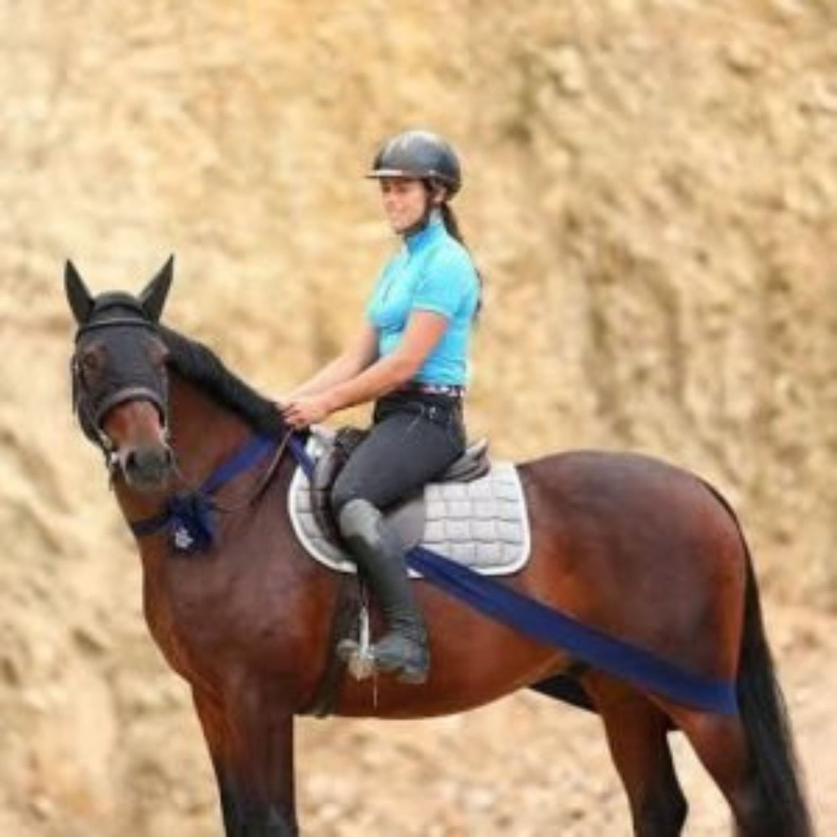 Equisystem Bandage on bay horse.