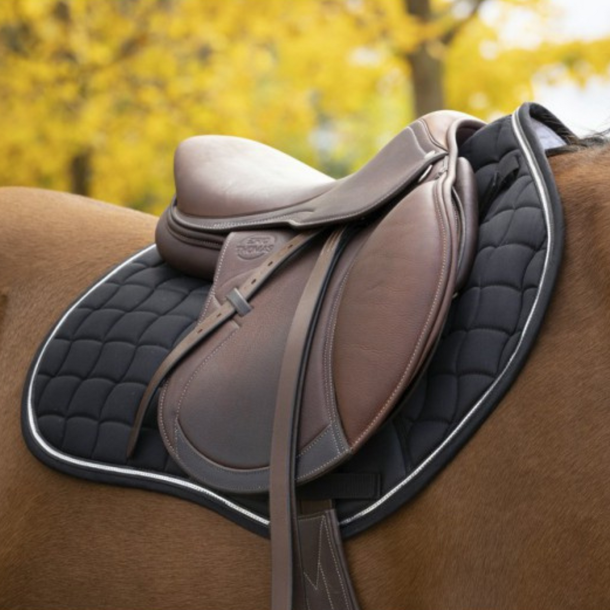 Equitheme Sport Saddle Pad