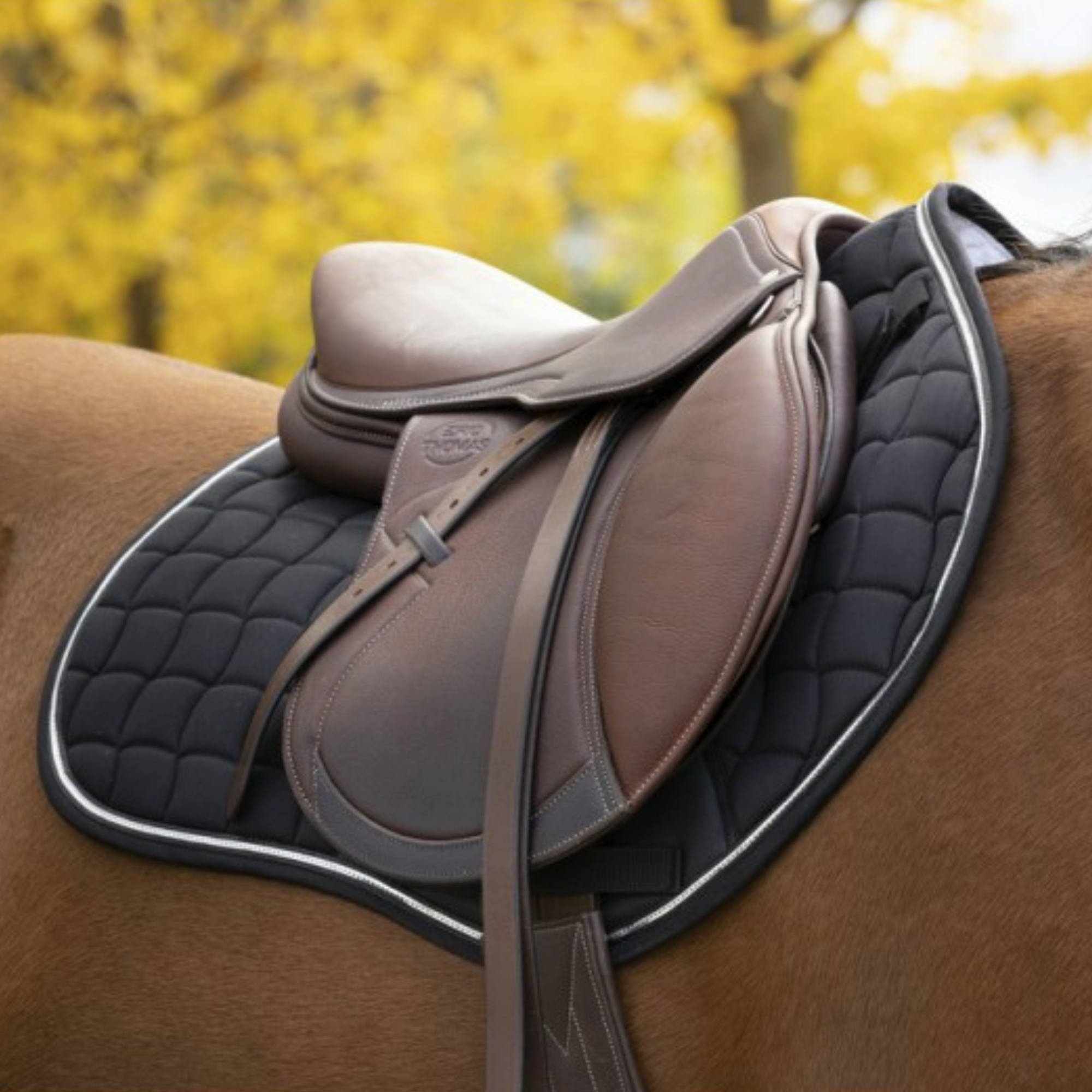 Equitheme-sport-saddle-pad-black-on-the-horse-rug-whisperer