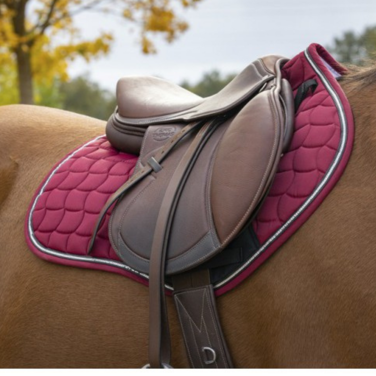 Equitheme Sport Saddle Pad