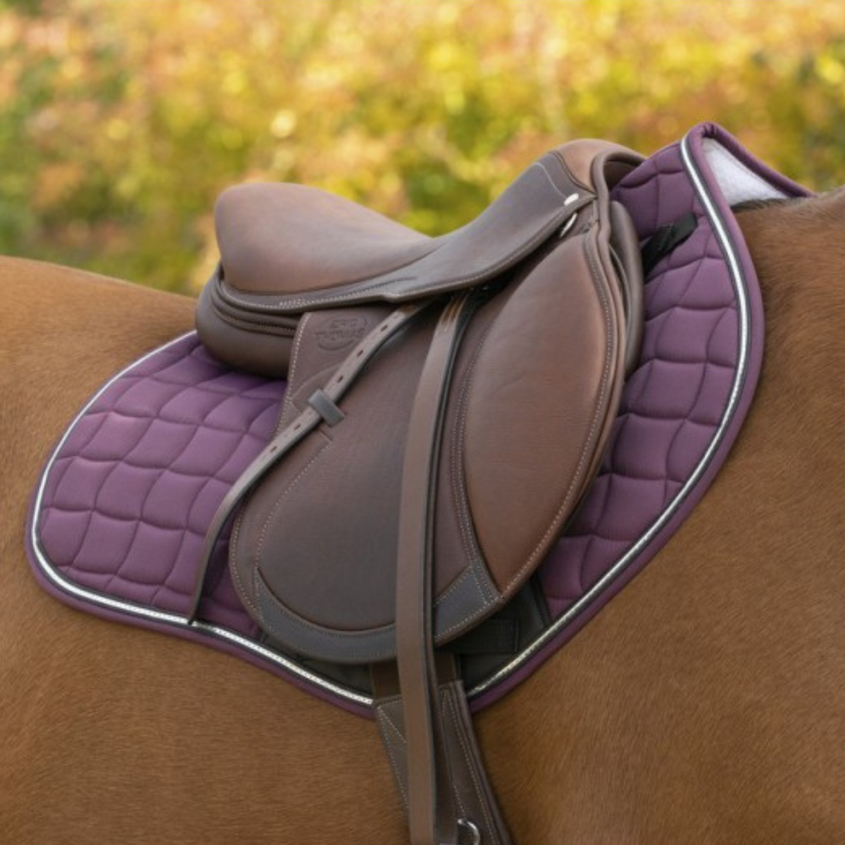 Equitheme Sport Saddle Pad