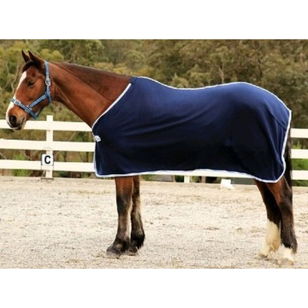 Navy fleece rug with white binding 
