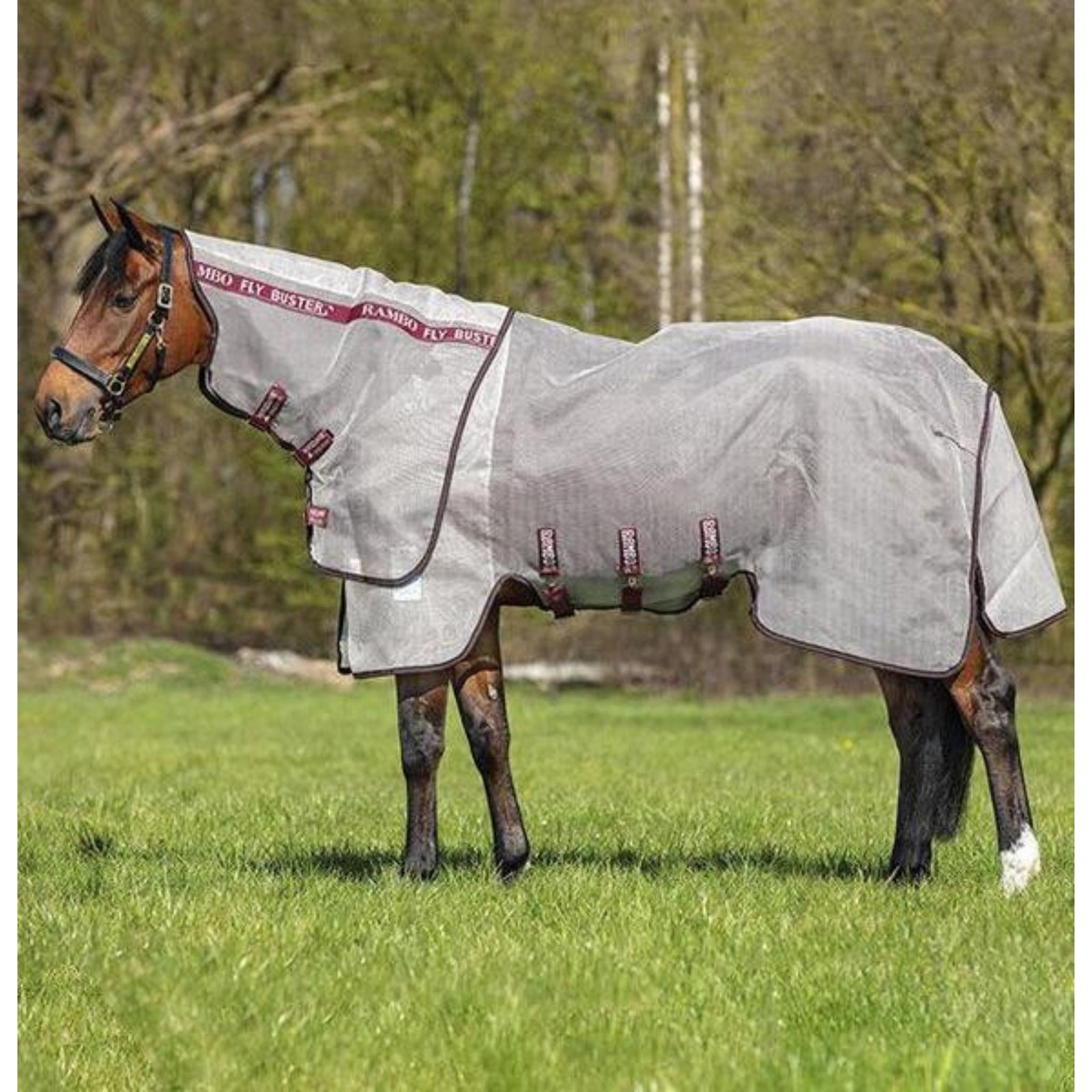 Beige mesh rug with burgundy and black binding