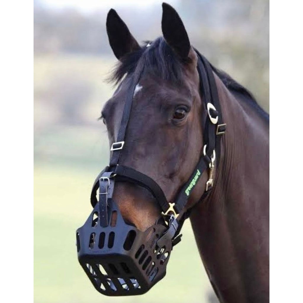 Breakaway grazing muzzle 2025