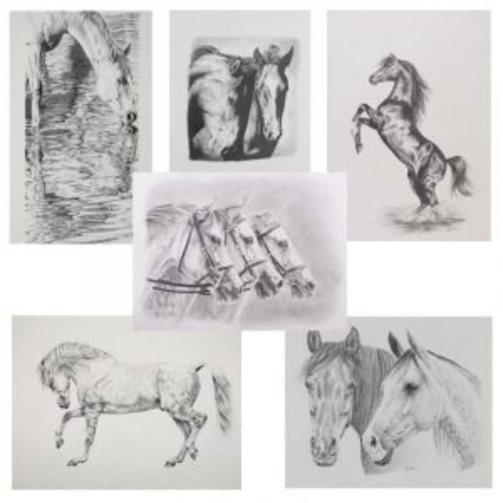 Greeting-Cards-Set-1-The-Horse-Rug-Whisperer