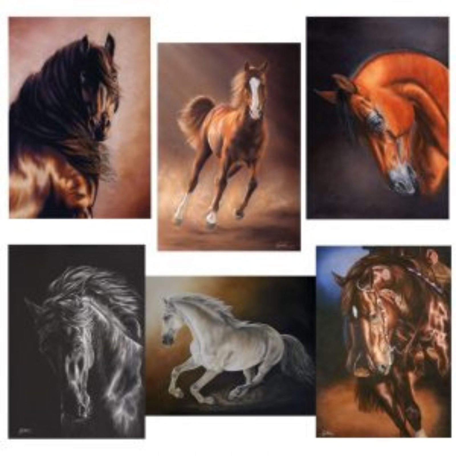 Greeting-Cards-Set-3-The-Horse-Rug-Whisperer