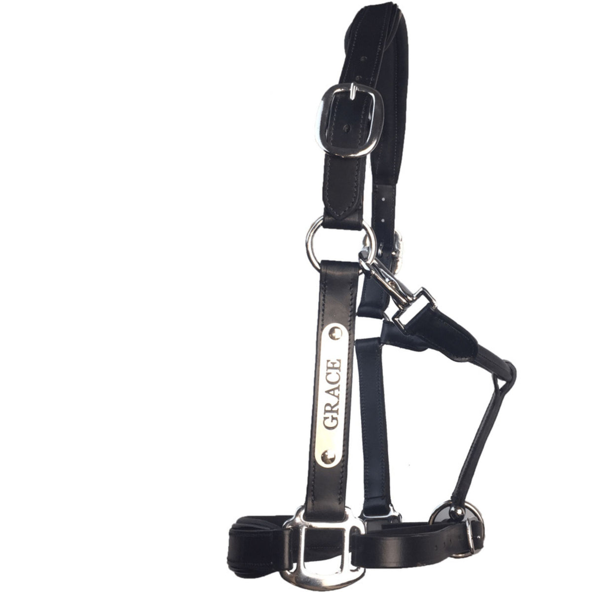 Black leather halter with silver fixings and nameplate, and patent details.
