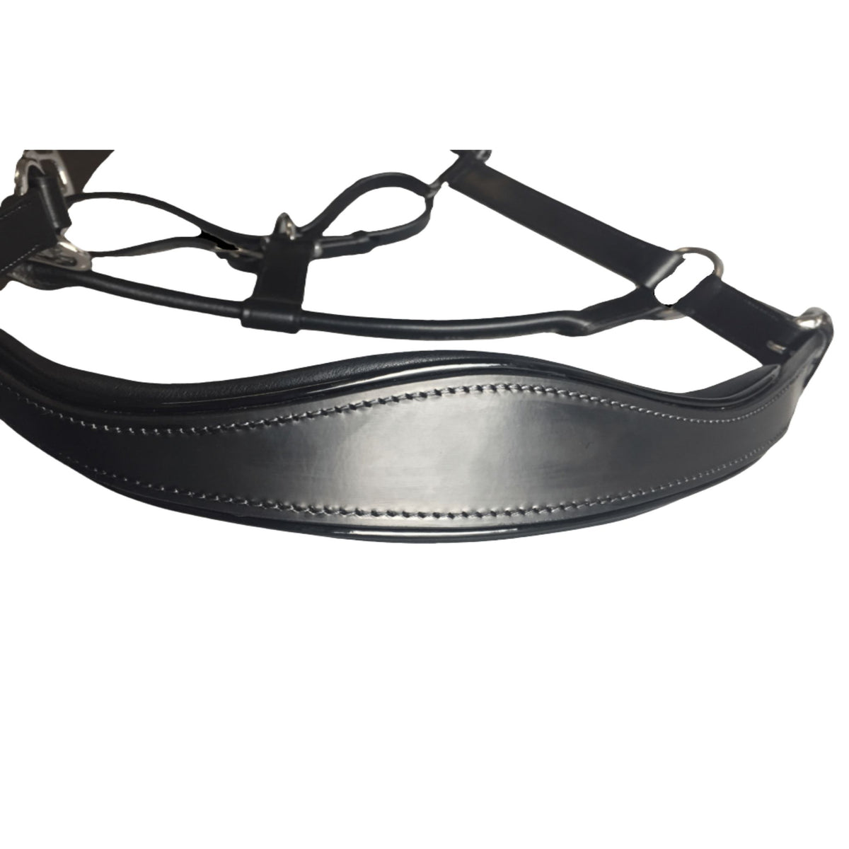 Close up of black patent leather halter, showing black stitching on top.