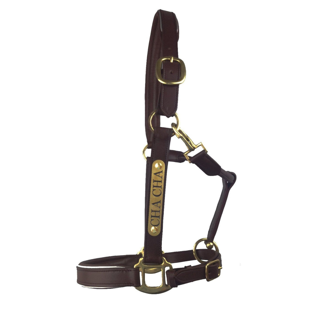 Brown leather halter with brass nameplate on near side, fixings and details.