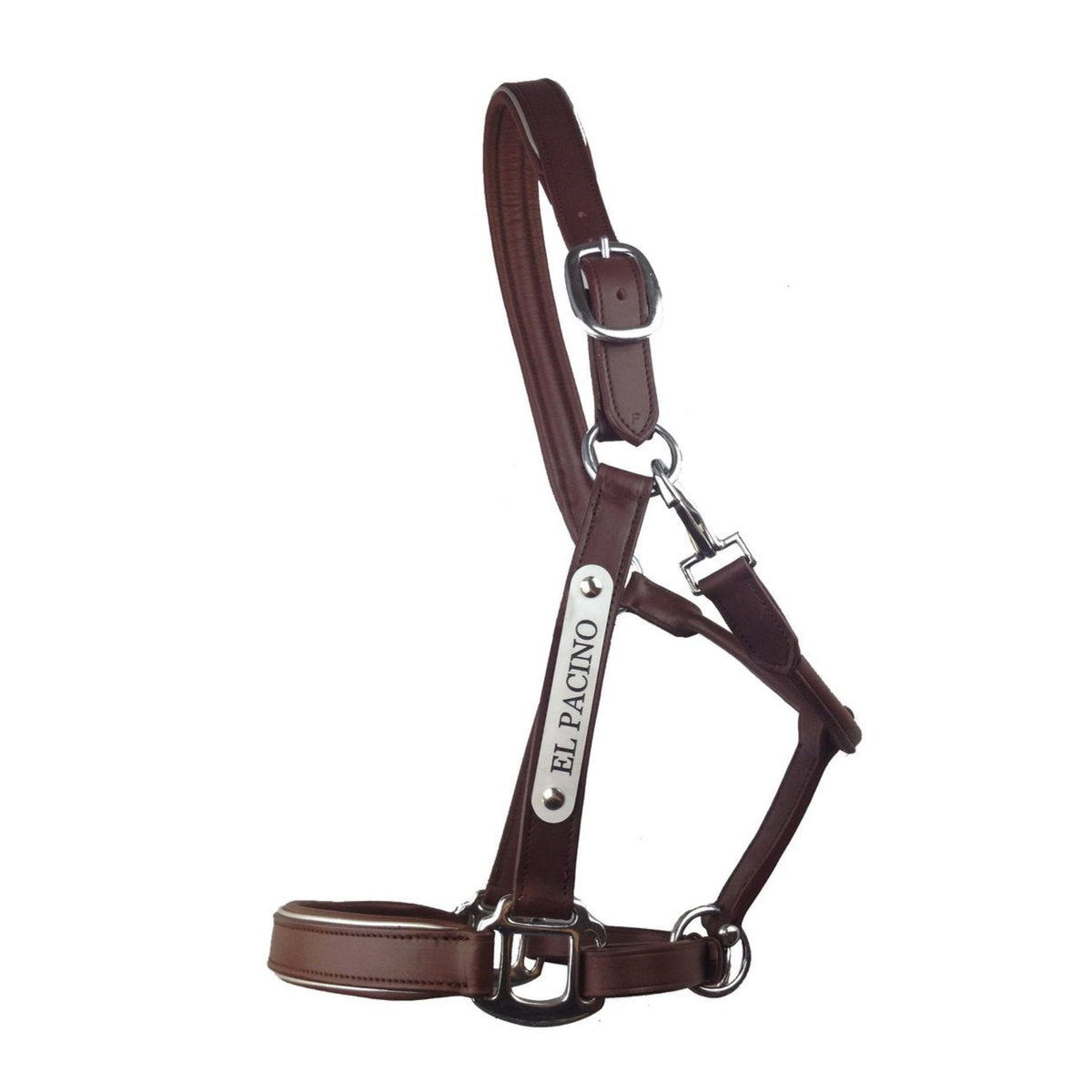 Brown leather halter with silver nameplate on near side, fixings and details.