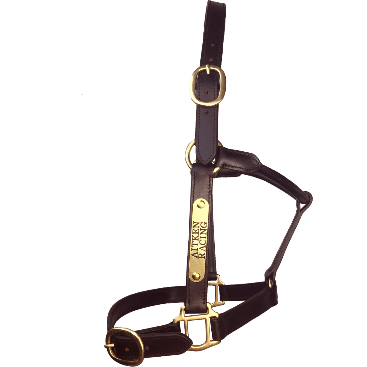 Brown leather halter with brass nameplate and fixings, and buckle on noseband.