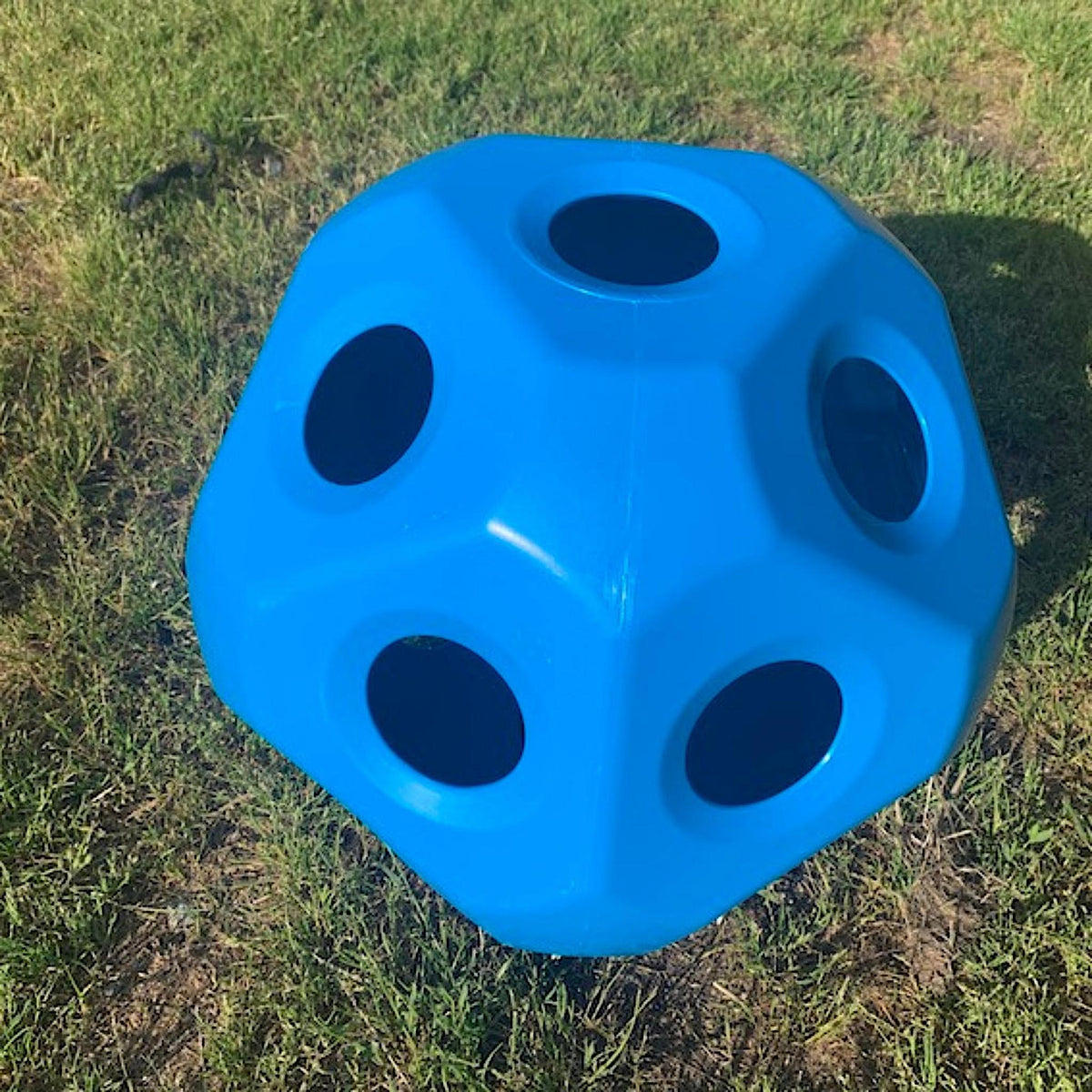 Blue plastic hay ball with flat sides and moderately sized holes throughout.