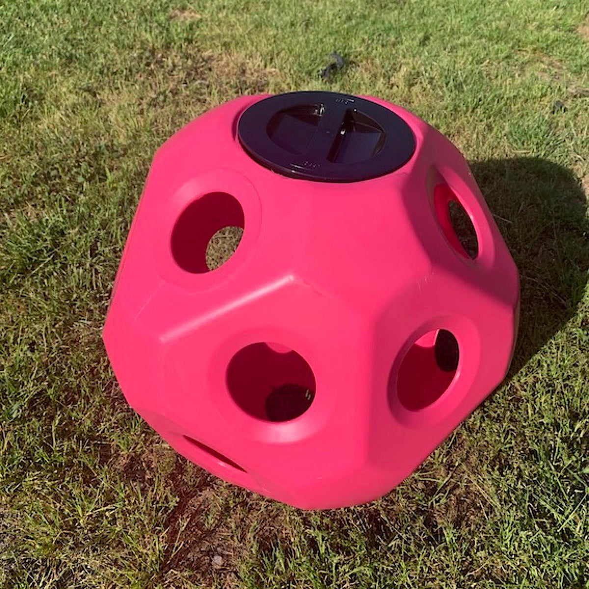 Pink plastic hay ball with flat sides and moderately sized holes throughout.